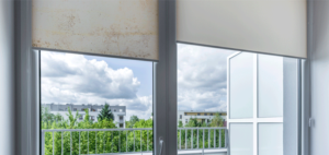 jak usunąć pleśń z rolety