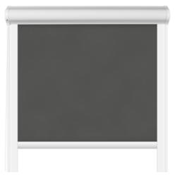 Roleta termiczna w kasecie aluminiowej Graphite Silver
